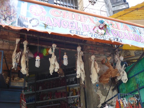 Witches shop, including llama foetuses